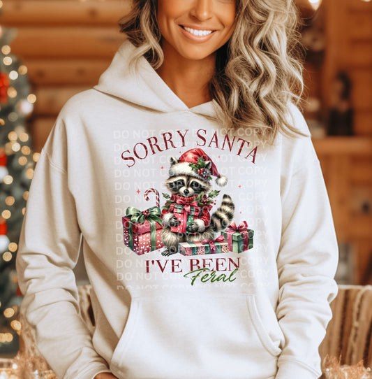 Sorry Santa DTF Transfer