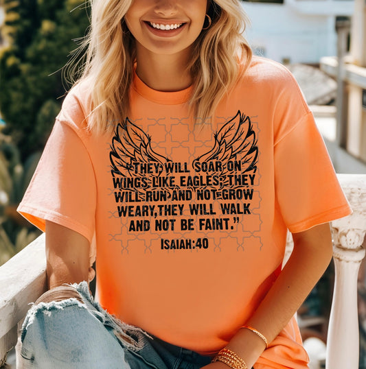 They Will Soar